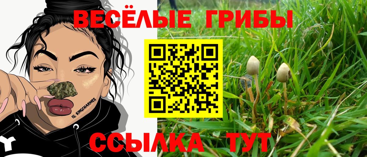магазин продажи наркотиков  Галлюциногенные грибы Psilocybine cubensis  Вход с VPN  Михайловка 